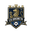 CS Drobeta-Turnu Severin club crest