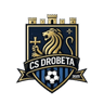 CS Drobeta-Turnu Severin club crest