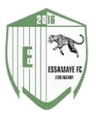 Essamaye club crest
