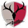 Kashima club crest