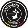 Wasquehal club crest