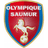 Saumur club crest