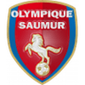 Saumur club crest