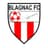 Blagnac club crest