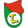 Lushnja club crest