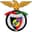 Penya Encarnada club crest