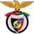 Penya Encarnada club crest