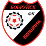 Belshina club crest