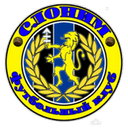 Slonim club crest