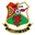 llanelli AFC club crest