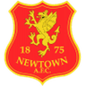 Newtown AFC club crest