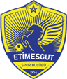 Etimesgut SK club crest