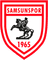 Samsunspor club crest