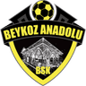 Beykoz Anadolu club crest