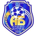 Ahrobiznes Volochysk club crest