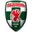 Obolon'-Brovar club crest