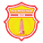 Nam Dinh club crest