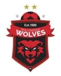 Wollongong Wolves club crest