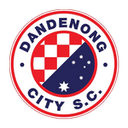 Dandenong City club crest