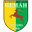Neman club crest