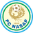 Nasaf club crest