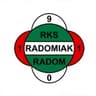 Radomiak Radom club crest