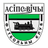 Osipovichy club crest