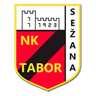 Tabor Sežana club crest