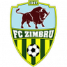 Zimbru club crest
