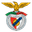 Benfica Castelo Branco club crest