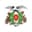 Lusitânia club crest