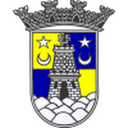 Sintrense club crest
