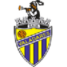 Valadares Gaia club crest