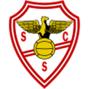 Salgueiros club crest