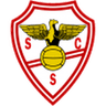 Salgueiros club crest