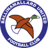 Ballinamallard United club crest