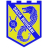 Dacia-Buiucani club crest