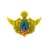 National Defense club crest