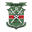 BDF XI club crest