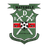 BDF XI club crest