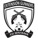 Extension Gunners club crest