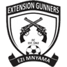 Extension Gunners club crest