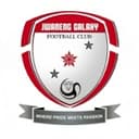 Galaxy club crest