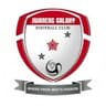 Galaxy club crest