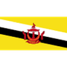 Brunei club crest