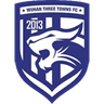 Wuhan Three Towns club crest