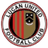 Lucan United club crest