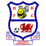 Holyhead Hotspur club crest