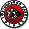 Dinaz Vyshhorod club crest