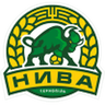 Nyva Ternopil club crest